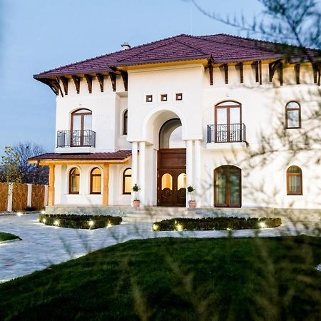Bed and Breakfast Conacul Olarilor Бая-де-Ф'єр Екстер'єр фото