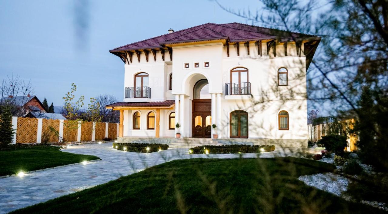 Bed and Breakfast Conacul Olarilor Бая-де-Ф'єр Екстер'єр фото