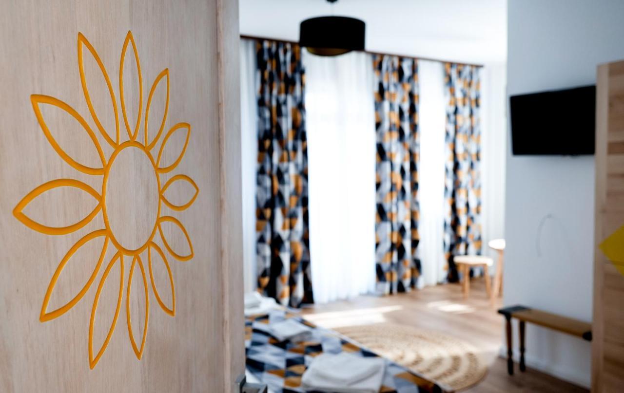Bed and Breakfast Conacul Olarilor Бая-де-Ф'єр Екстер'єр фото
